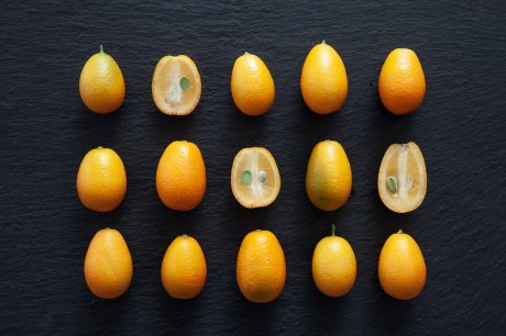 Кумкват: «Золотой апельсин» — секреты выращивания в домашних условиях